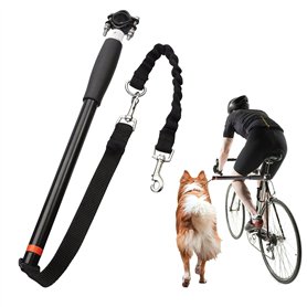 Laisse De Vélo
