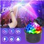 Lumières Disco