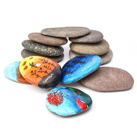 ShoppeWatch Galets a Peindre | Lot de 12 Pierres Plate Decoratif | Decoratif Naturel Cailloux Jardin Exterieur | DIY Artisanat T