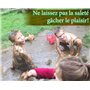Lingettes humides Larges biodégradables en Bambou de Travel Buddy - Parfait pour Le Camping, Les Voyages, Les Vacances, Les Fest