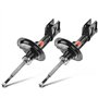 Frankberg 2x Amortisseur à gaz Pression du gaz Essieu Avant Compatibles avec C4 Coupé/Berline 2004-2011 C4 I 2004-2011 307 2001-