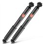 Frankberg Lot de 2 amortisseurs arrière gauche et droit compatibles avec C2 JM 2003-2009 C2 Enterprise JG 2006-2009 C3 I FC FN 1