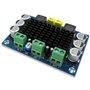 DollaTek DC 12V-24V TPA3116 D2 100W Mono Channel Amplificateur Audio numérique pour Voiture