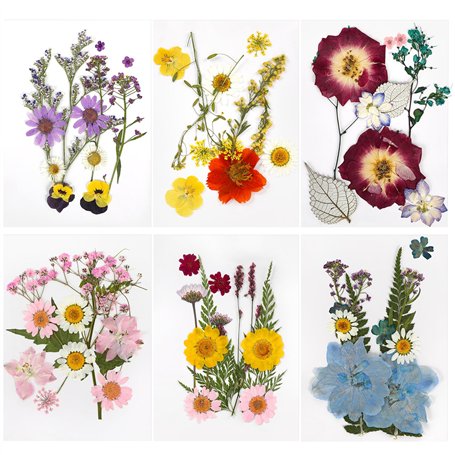 Fleurs Séchées