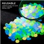 Lot de 200 pierres colorées pour aquarium - Pierres lumineuses dans le noir - Gravier de jardin - Pierres décoratives pour l'ext