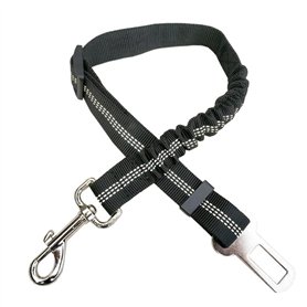 1 laisse pour chien