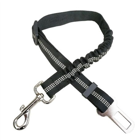 1 laisse pour chien