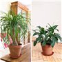 DHSBGWSX Lot de 10 plateaux pour plantes - Bac d'égouttement - Mini pot en terre cuite - Plateau de jardin - Base de pot de fleu