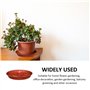 DHSBGWSX Lot de 10 plateaux pour plantes - Bac d'égouttement - Mini pot en terre cuite - Plateau de jardin - Base de pot de fleu