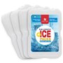 Hometimes Lot de 4 blocs réfrigérants pour sac isotherme