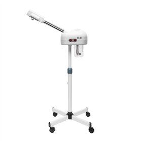 Vaporisateur 2 en 1 à l'ozone pour le visage