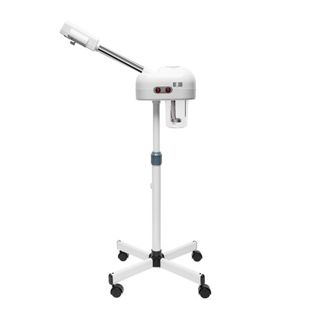 Vaporisateur 2 en 1 à l'ozone pour le visage