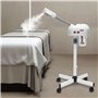 Vaporisateur 2 en 1 à l'ozone pour le visage, vaporisateur pour le visage, vaporisateur de brume chaude, tige télescopique, spra