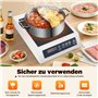Cuisinière à induction commerciale 3500 W, cuisinière à induction professionnelle avec chauffage rapide et contrôle de la tempér