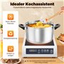 Cuisinière à induction commerciale 3500 W, cuisinière à induction professionnelle avec chauffage rapide et contrôle de la tempér