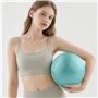 VELLUSTRA 2PCS Ballon Grossesse