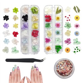 CCUCKY Fleurs Séchées à Ongles Naturelles