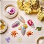 2 Boîtes de Vraies Fleurs à Ongles pour DIY Faire de l'Artisanat