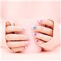 CCUCKY Fleurs Séchées à Ongles Naturelles, 2 Boîtes de Vraies Fleurs à Ongles pour DIY Faire de l'Artisanat, Arts des Ongles