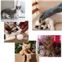 FIPASEN Imperméable Gants de Manutention pour Animal, 60CM/ 23,6 Pouces Gants en Cuir Renforcé Anti-Morsure pour Le Bain, Le Toi