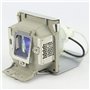 Sekond 5J.J0A05.001 Lampe de rechange avec boîtier pour BenQ MP515