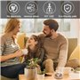 Lot de 2 Pierres Parfumées pour Huiles Essentielles - Diffuseur d'Air pour Chambre à Coucher