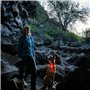 RUFFWEAR Lumière de sécurité LED pour Chien, 3 Couleurs et 3 Modes d’éclairage, Étanche, Rechargeable, Couleur : Transparent (Cl