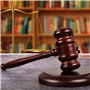 DuDuZui Maillets en Bois, Marteau en Bois de Qualité Supérieure Avec Bloc Sonore, Parfait pour Juge, Avocat, Tribunal aux Enchèr