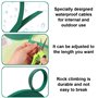 fil de plantes et attaches d'arbre
