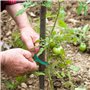 accessoires pour plantes pour le ja
