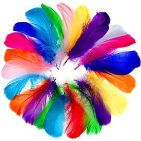 faburo 500pcs Plumes Colorées