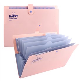 ASelected Lot de 2 porte-documents A4 avec 12 compartiments - Pour la maison