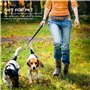 XLKJ Crochets avec Emerillon pour Collier pour Chien, 5 Pièces Mousquetons Alliage de Zinc pour Camping Pédestre Pêche