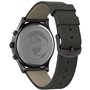 Timex Watch TW2T75700