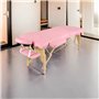 Higliocas Table de Massage Pliante Esthetique: 2 Zones Bois Lit de Massage pour Physiothérapie Tatouage et Spa