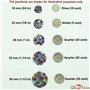 Grand Pendentif Millefiori Multicolore dans Un Cadre argenté 32 mm