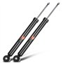 Frankberg 2x Amortisseur à gaz Pression du gaz Essieu Arrière Compatibles avec A4 8E2 B6 2000-2004 A4 Avant 8E5 B6 2001-2004 A4 