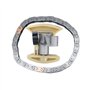 Frankberg Kit chaîne de distribution Compatible avec Berlingo C2 C3 C4 C5 C-Max 1007 206 207 3008 307 308 S40 II 1.6L 2002-Aujou