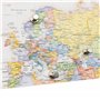 Magnétique Punaises Lot de 12 Aimants, Argent, Nickel Brossé Push Pin Aimants pour réfrigérateur, Tableau Blanc, Carte, Calendri