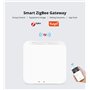 Travailler avec Tuya Zigbee Switch
