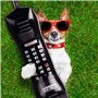 DERAYEE Lot de 2 boom gonflables pour téléphone portable rétro années 80 et 90 Accessoires de déguisement pour homme et femme