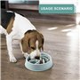Gamelle pour Chien A