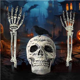 WAYBWZDQ Halloween Décoration Squelette
