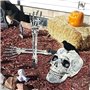 WAYBWZDQ Halloween Décoration Squelette, Squelette de Décoration d'halloween Squelette Effrayant Réaliste avec Articulations Mob