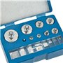 OTYMIOW Poids d'Étalonnage 17PCS Grammes d'Étalonnage Set de Poids de Calibrage en Acier Inoxydable, 10mg à 100g, Kit d'Étalonna