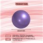 2 Pièces Yoga Ball Pilates Ballon de Gymnastique Anti-éclatement Fitness Balles pour 25cm Entraînement Abdominal et des Épaules,