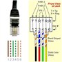 PENGLIN 2PCS RJ11 Adaptateur de bornier à vis mâle à 6 broches pour câble de rallonge de téléphone Cat3, RJ12 6P6C to 6pin Termi