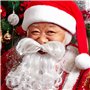 Coffee Life Plus Perruque de Barbe de Noël,Perruque de Noël,Barbe de Santa,Bonnet de Père Noël,Convient pour l'habillage du Père