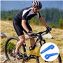 VTT