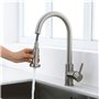 Deux Fonctions de Remplacement Robinet de Cuisine Poignées Pulvérisateur Pommes de Douche Tête Robinet,Bec de Robinet de Cuisine
